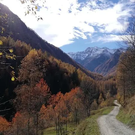 Belvedere